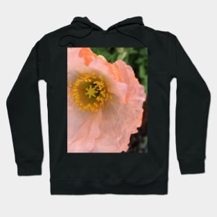 The Unfurling Present of the Peaceful Pink Poppy Hoodie